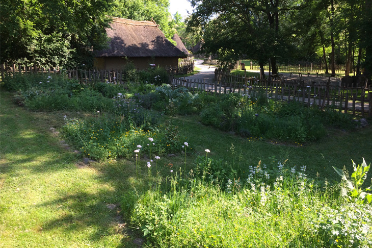 The vegetable and herb garden